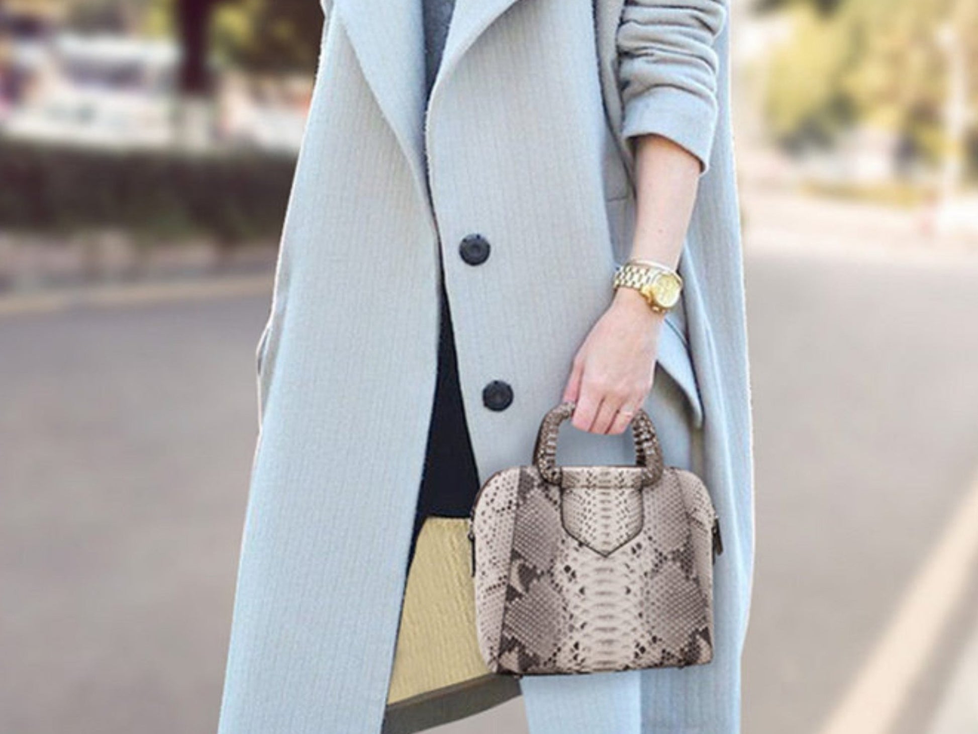 Top Handle Snakeskin Bag - gray Color use by model